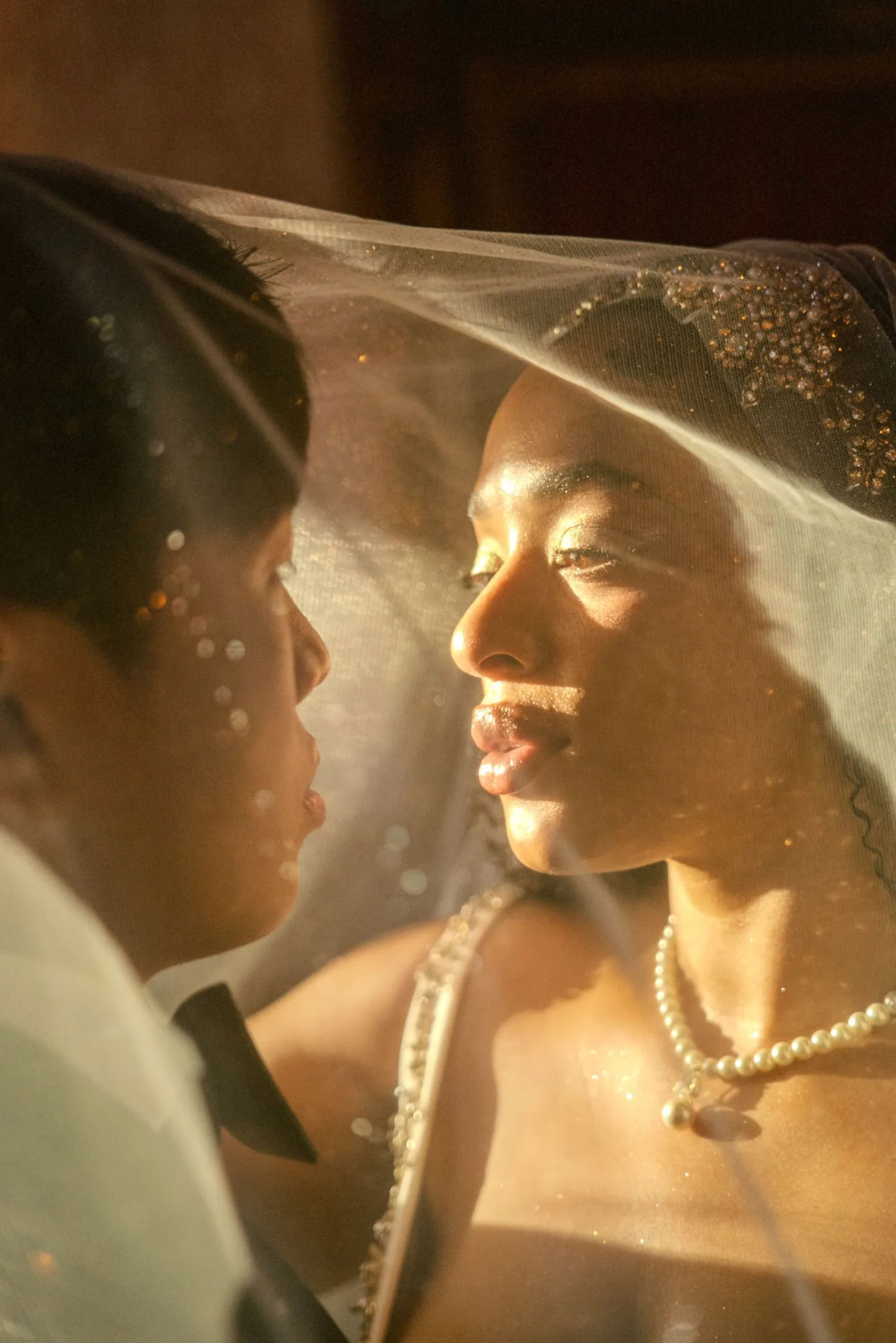 Bride framed by her veil in glowing window light